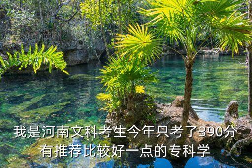 390能上什么?？莆目?，我是河南文科考生今年只考了390分有推薦比較好一點的?？茖W...